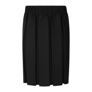 Elasticated Box Pleat Skirt - Black
